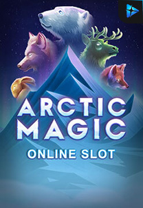 Arctic Magic foto